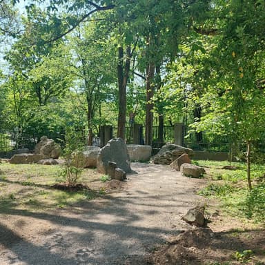 Bild von Museumsgarten - Geologische Wanderung