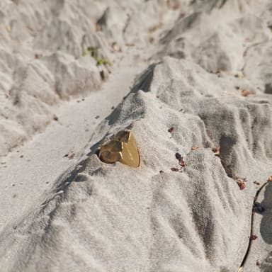 Bild von Der Monte Baldo