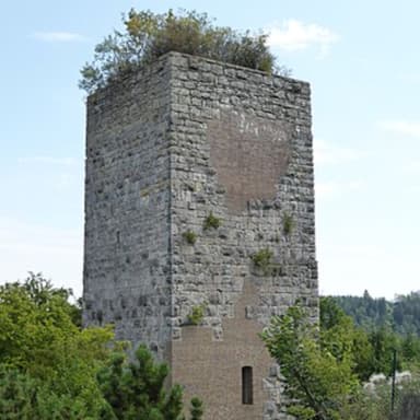 Bild von Burgruine Niederviehhausen