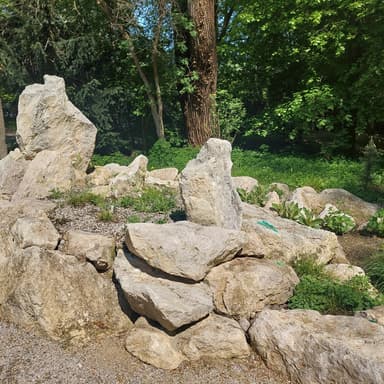 Bild von Alpine Pflanzen