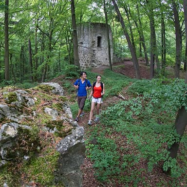 Burgruine Ehrenfels