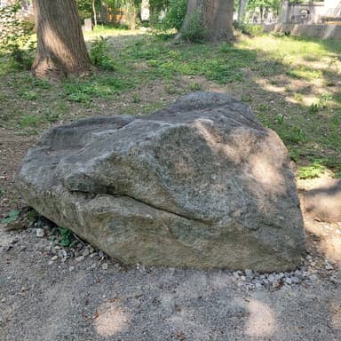 Bild von Zentrale Ostalpen
