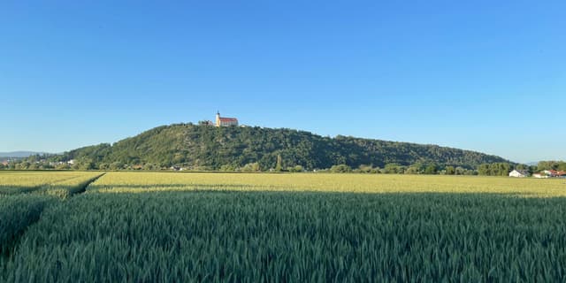 Bild von Kreismuseum Bogenberg